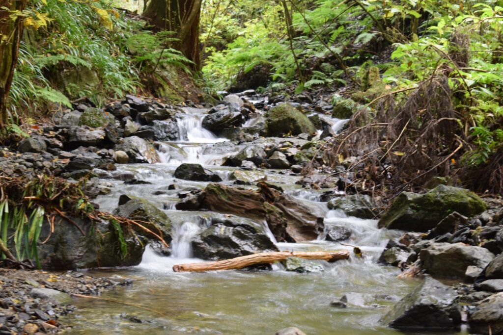 高尾山の各ルートの特徴を比較