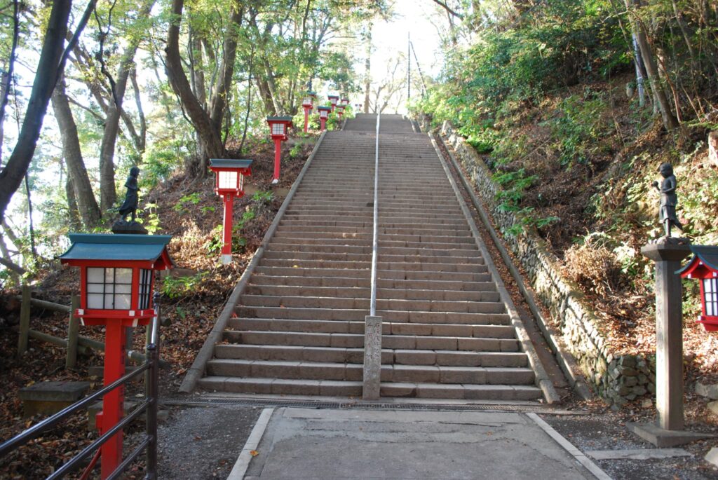 初心者におすすめなのはどっち?