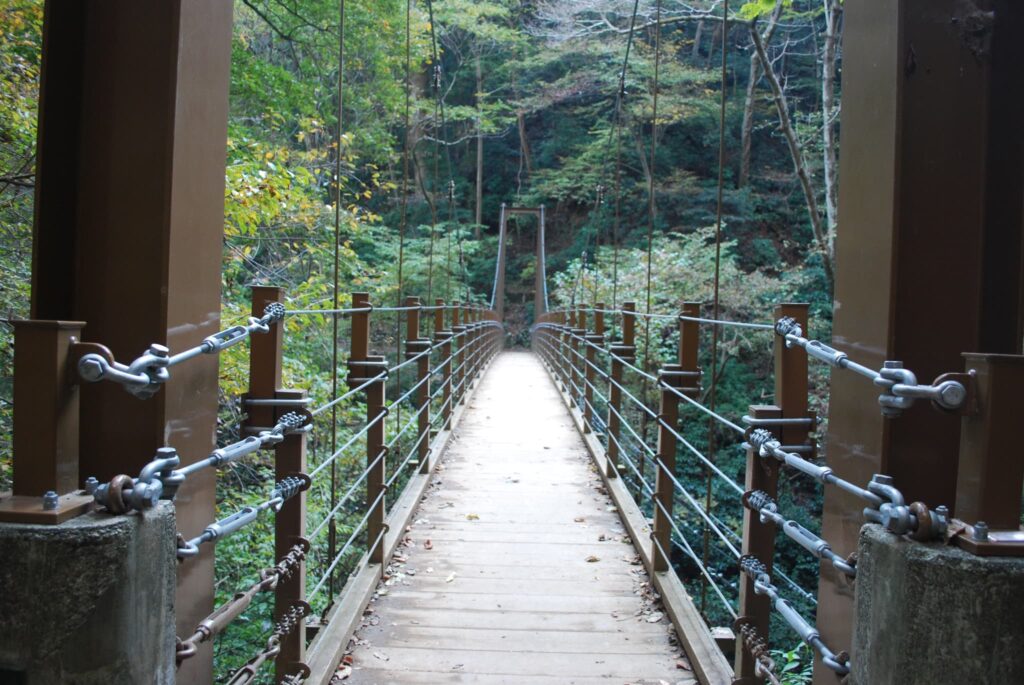 高尾山の登山ルート一覧【全コース比較】