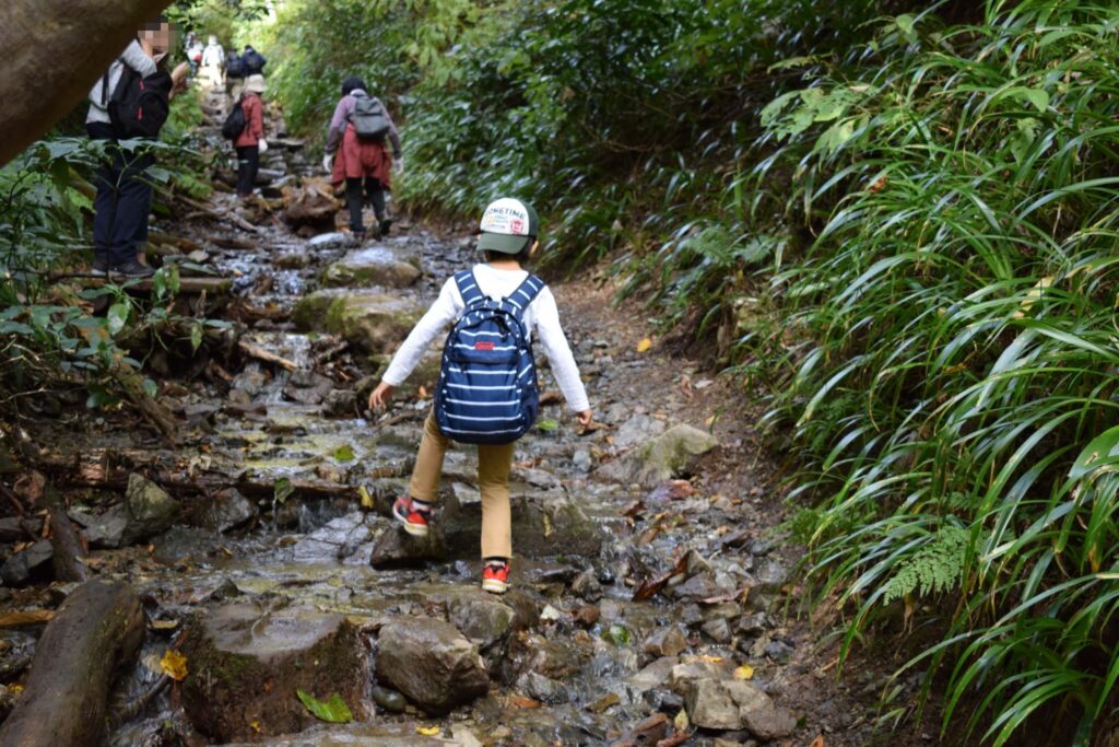 高尾山　6号路　雨上がり