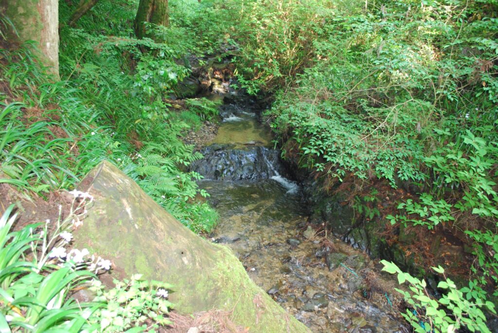 春　登山　メリット