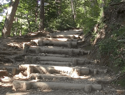 高尾山 階段