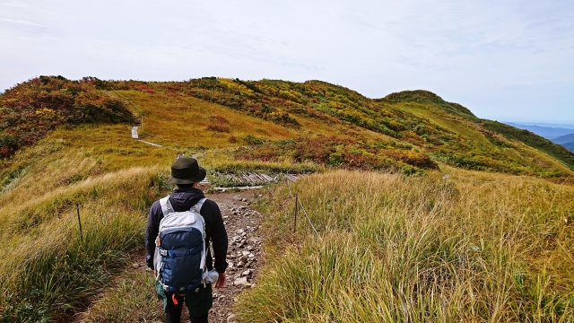 高尾山　季節別　服装　コーデ
