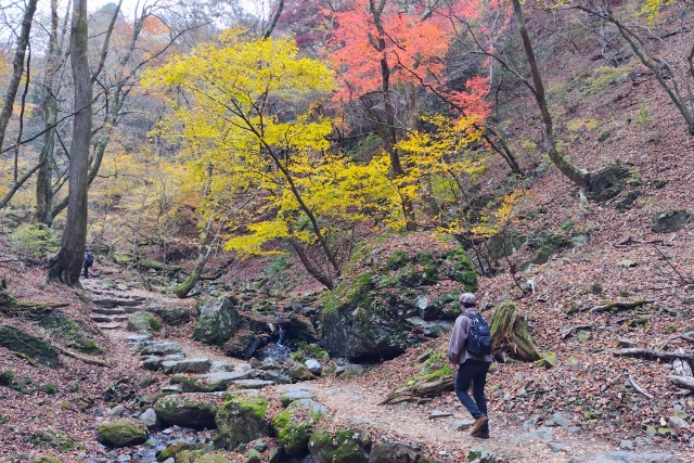 御岳山 初心者 おすすめ 服装