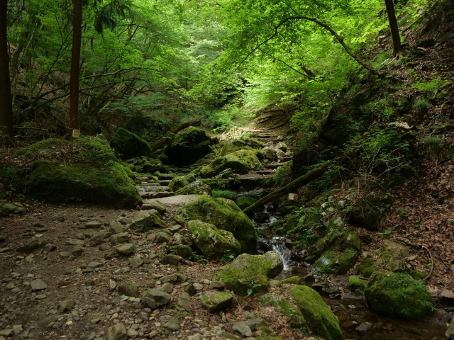 御岳山　ロックガーデン