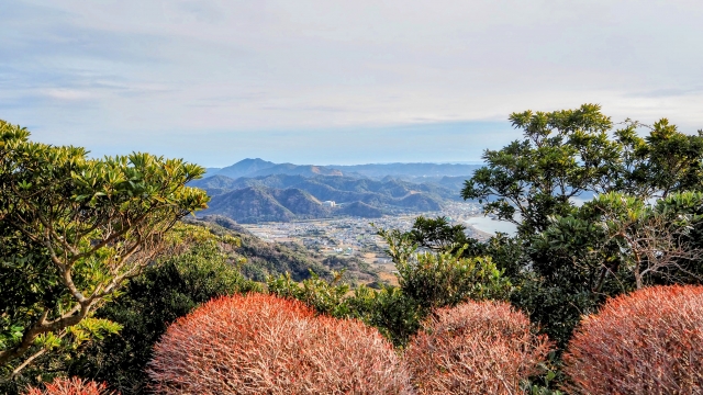 冬　雪なし　登山