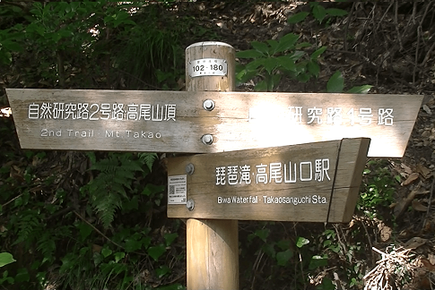 高尾山　分岐