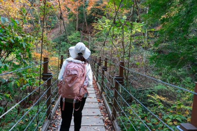高尾山　吊り橋