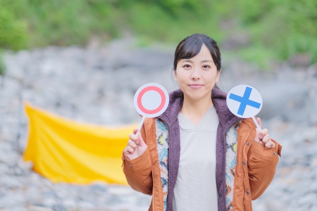 初心者　どっち